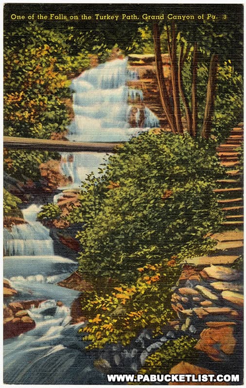 Vintage postcard featuring a waterfall along the Turkey Path at Leonard Harrison State Park.