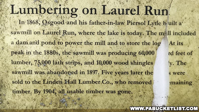 History of lumbering activity on Laurel Run at the sight of modern-day Whipple Dam State Park.