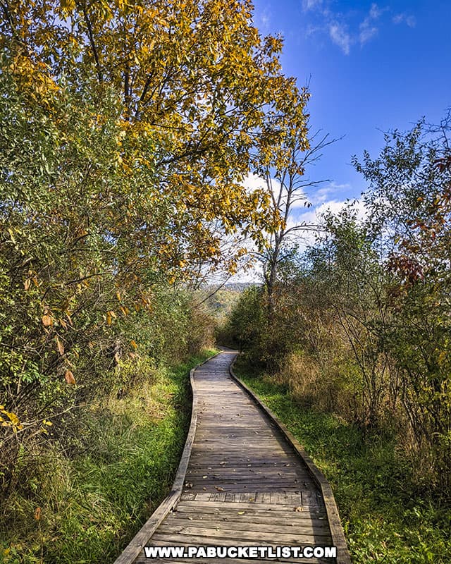 Marsh Trail boardwalk at Canoe Creek State Park in Blair County Pennsylvania.