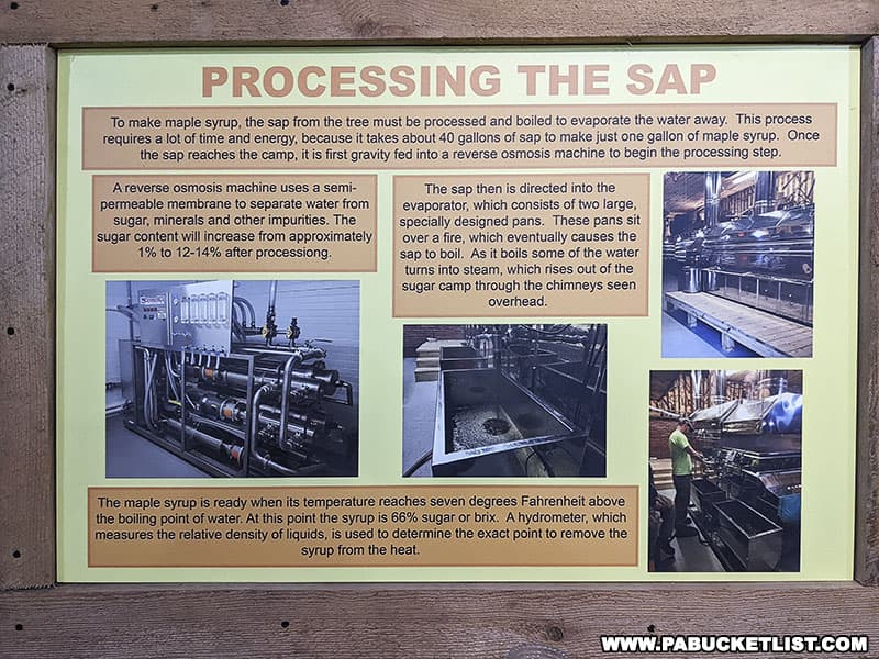 How maple sap is processed into maple syrup.