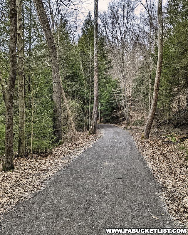 Cowanshannock Trail is a rail trail with a crushed stone surface.