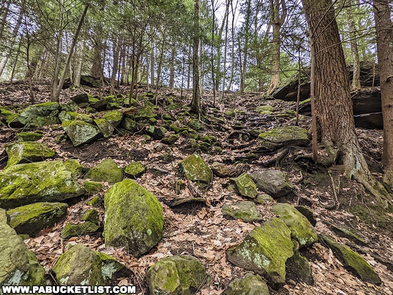 The steep bank leading to the base of Springfield Falls in Mercer County Pennsylvania.