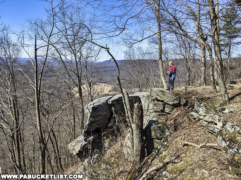 The panoramic view from above Ticklish Rock in Sullivan County Pennsylvania.