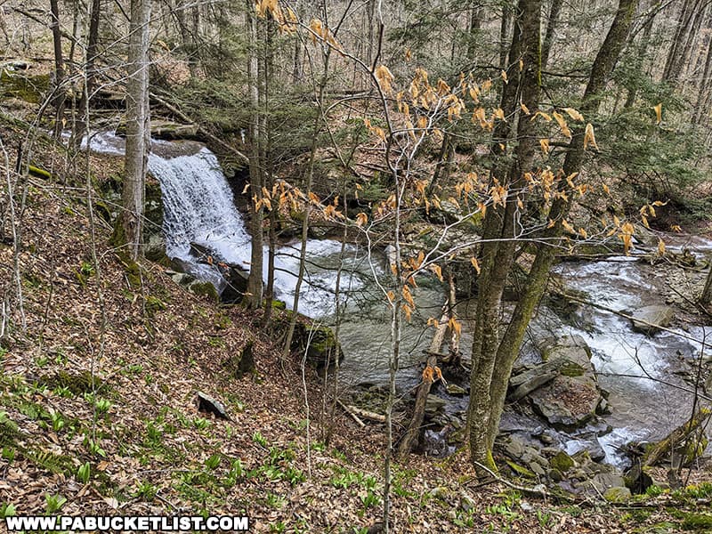 Approaching Emerald Falls along Swamp Run in the Loyalsock State Forest in Sullivan County Pennsylvania.