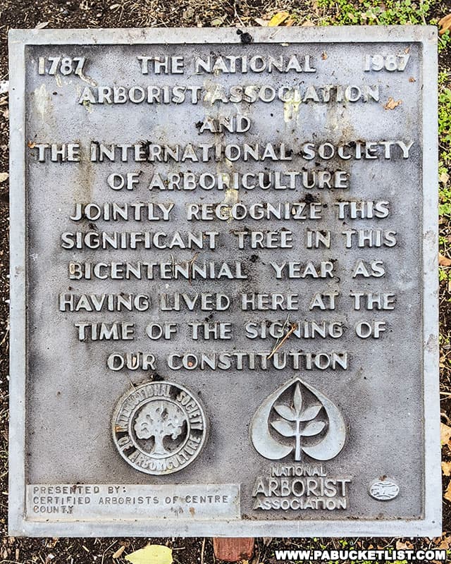 Plaque signifying the large sycamore tree at Centre Furnace Mansion was standing in 1787 when Pennsylvania signed the US Constitution.