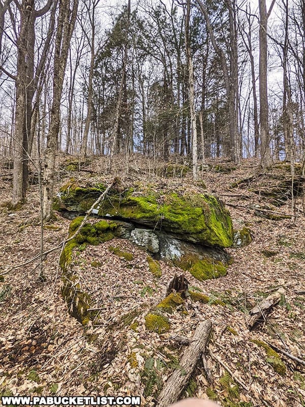 Large mossy boulder along the off-trail hike to Emerald Falls in the Loyalsock State Forest.