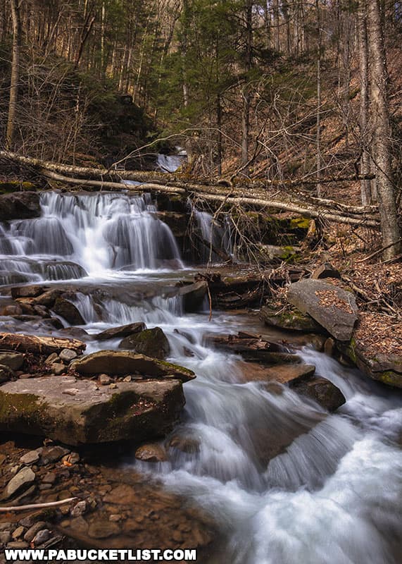 Downstream cascades on Swamp Run near Triple Falls in the Loyalsock State Forest.