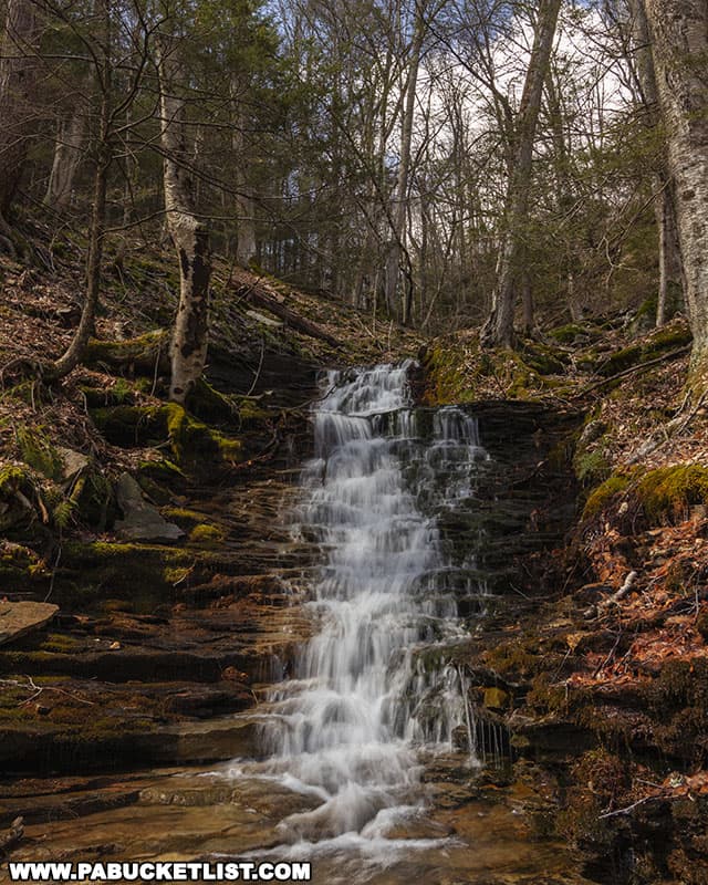 The uppermost waterfall of any significance along Warburton Hollow in the Loyalsock State Forest.