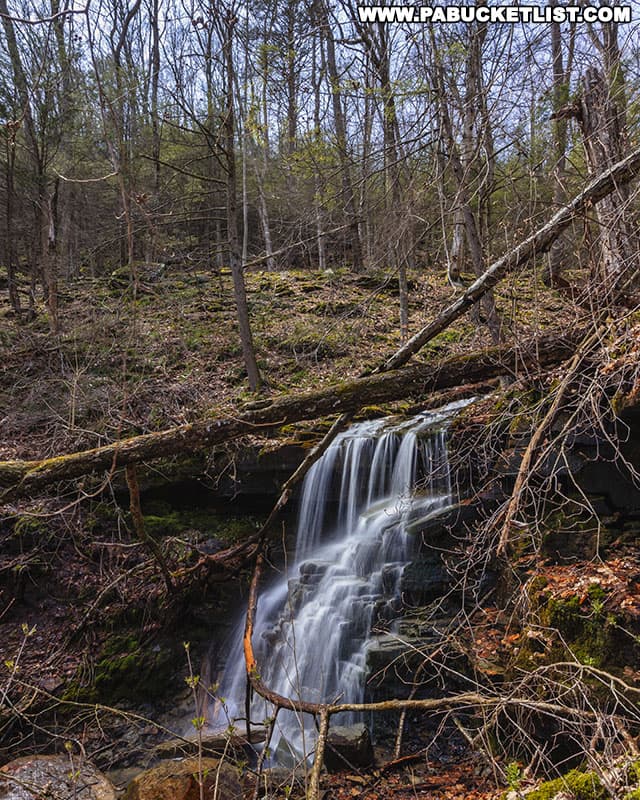 Side view of Warburton Hollow Falls in the Loyalsock State Forest.