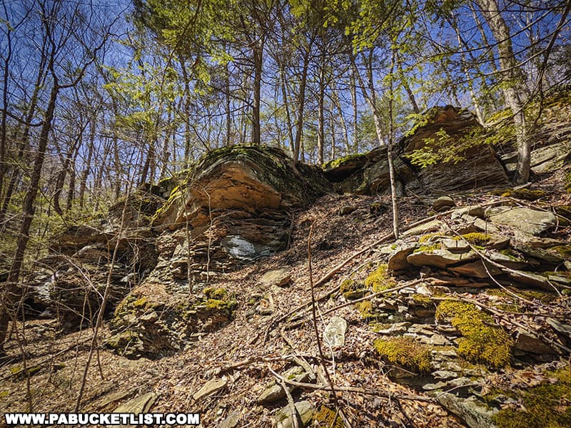 Part of the rock city in Warburton Hollow in Sullivan County PA.