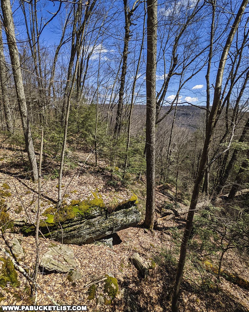 View to the northeast from the rock city in Warburton Hollow in the Loyalsock State Forest.