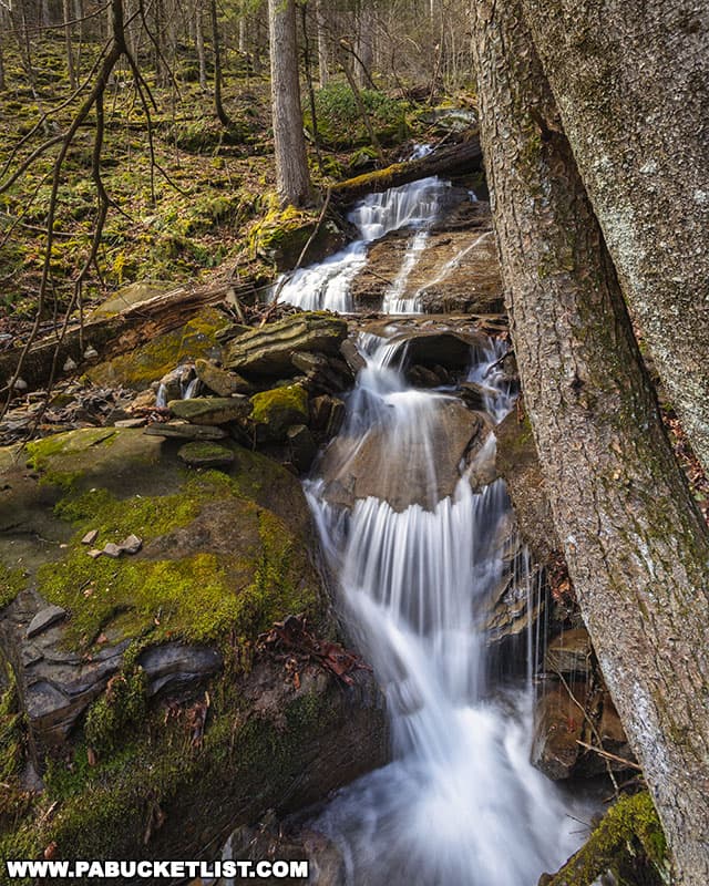 One of the lower waterfalls along Warburton Hollow in the Loyalsock State Forest.