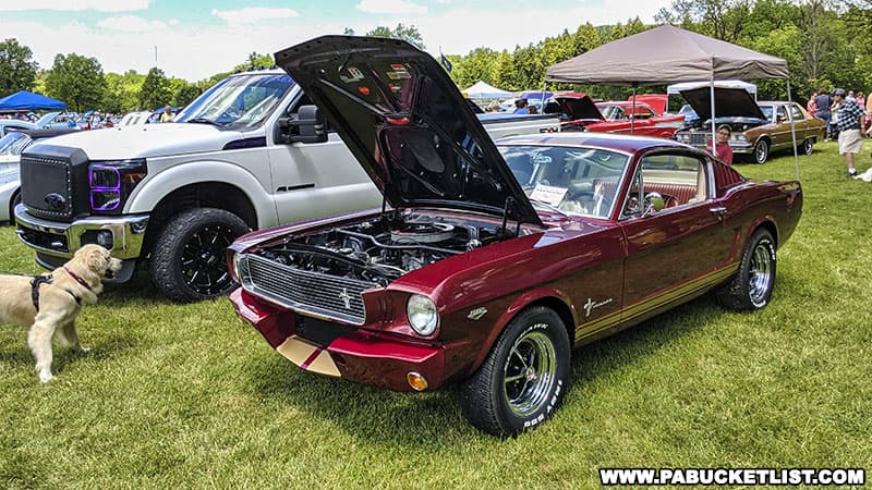A Ford Mustang on display at the Memorial Day car show in Boalsburg PA.