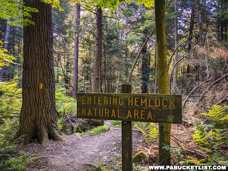 Entering the Hemlock Natural Area at Laurel Hill State Park in Somerset County Pennsylvania.