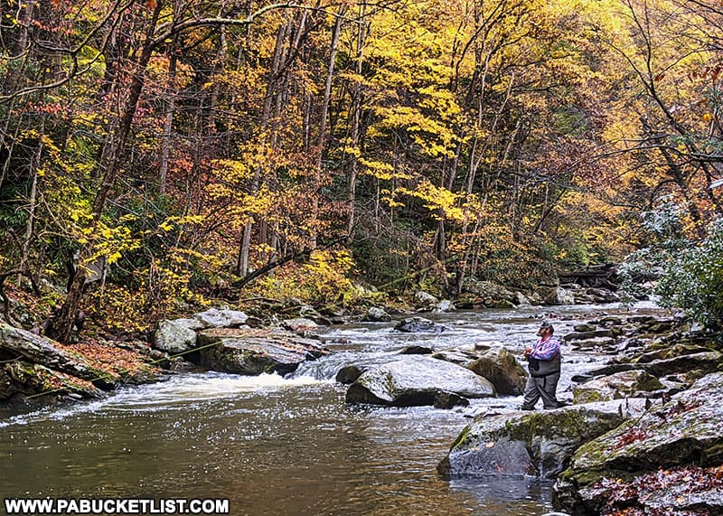 Fishing on Meadow Run at Ohiopyle State Park.