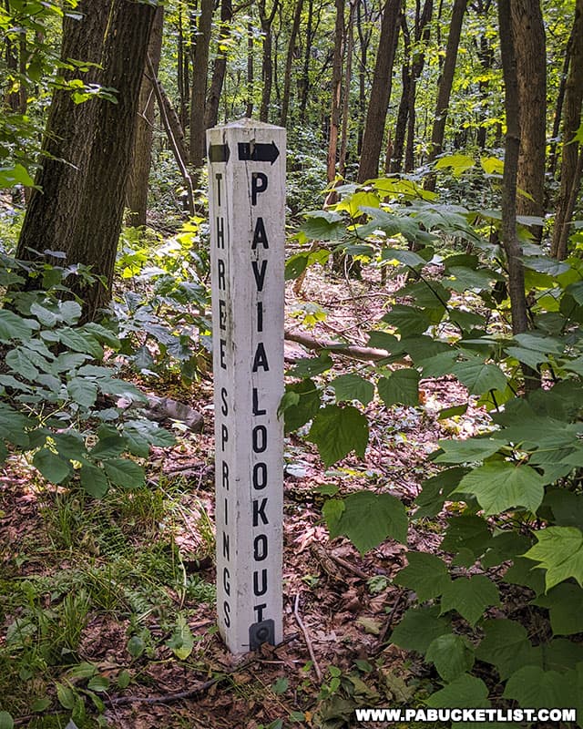 The side trail to Pavia Overlook (also shown as Pavia Lookout on some signage) is easy spot along the Mountain View Trail at Blue Knob State Park.