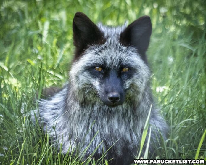 Exploring Every Show Cave in Pennsylvania