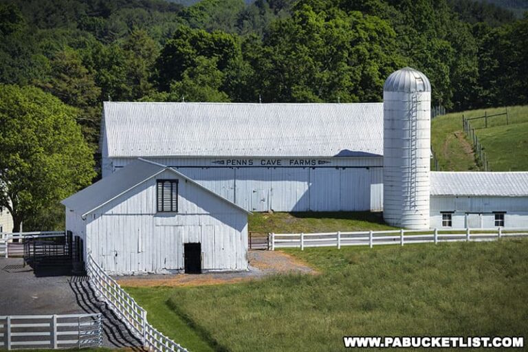 Exploring Penn's Cave and Wildlife Park in Centre County PA Bucket List