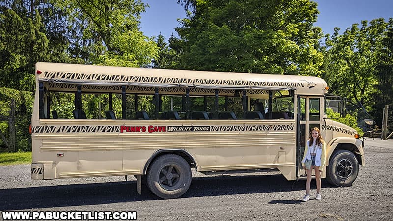 One of the tour busses used to conduct he wildlife tours at Penn's Cave.