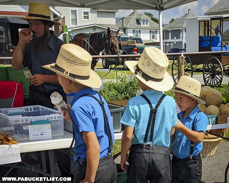 Amish boys enjoying ice cream cones at the Belleville Flea Market in Mifflin County Pennsylvania.