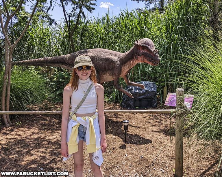 Exploring Clyde Peeling's Reptiland in Union County