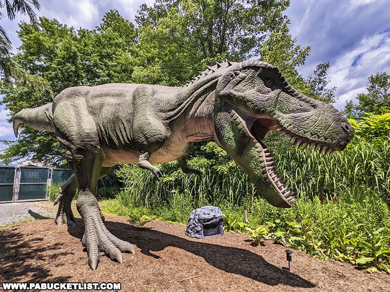 Animatronic T-rex at Clyde Peeling's Reptiland in Union County Pennsylvania.