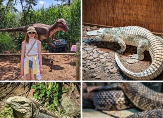 A collage of photos from Clyde Peeling's Reptiland in Allenwood Pennsylvania.