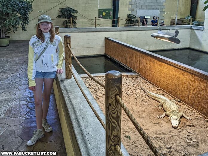 Exploring Clyde Peeling's Reptiland in Union County