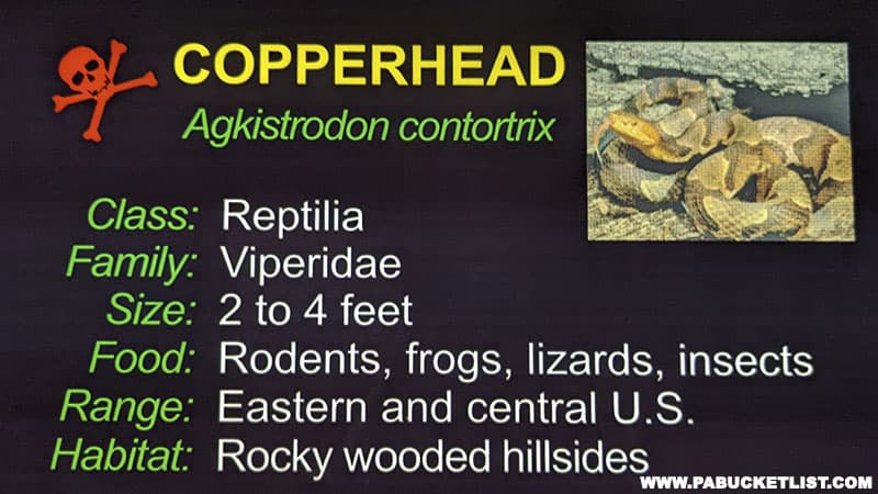Informational signs are located next to each exhibit in the Reptiles and Amphibians Gallery at Clyde Peeling's Reptiland.in Union County Pennsylvania.