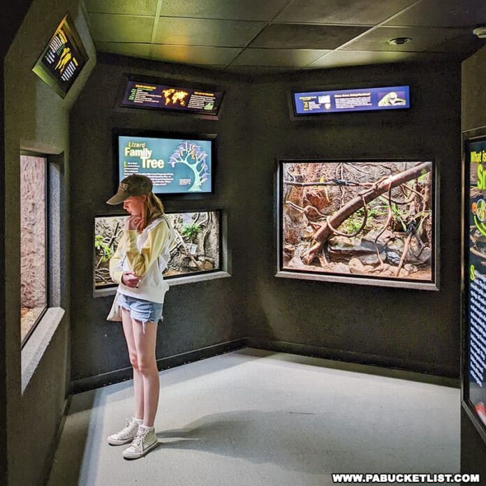 Exploring Clyde Peeling's Reptiland in Union County