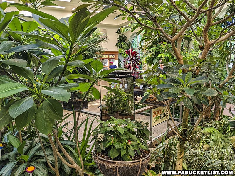 The Butterfly Atrium at Hershey Gardens is one of only 25 indoor, tropical butterfly atriums in the United States.