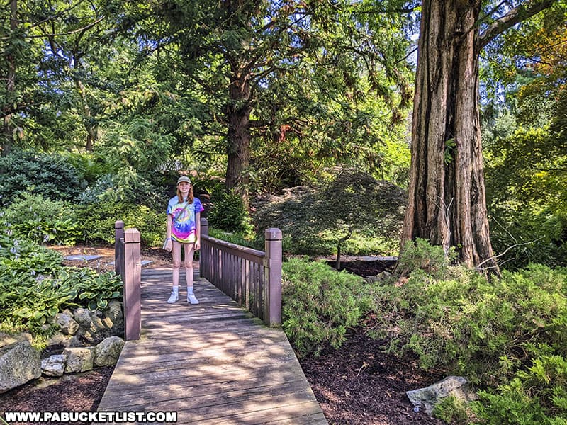 The Japanese Garden at Hershey Gardens garden features giant sequoias, Dawn Redwood trees, and Japanese maples.