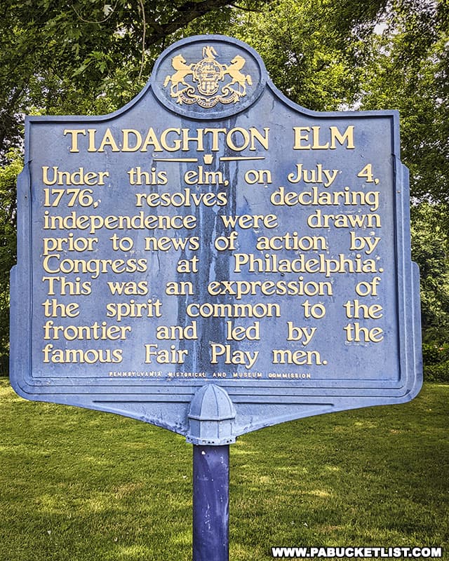 The Tiadaghton Elm, beneath which the Pine Creek Declaration of Independence was signed.