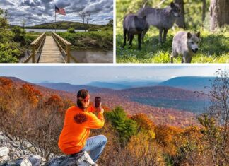 The best things to see and do in Centre County PA.