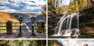 Where to find the best fall foliage views in the Pennsylvania Grand Canyon