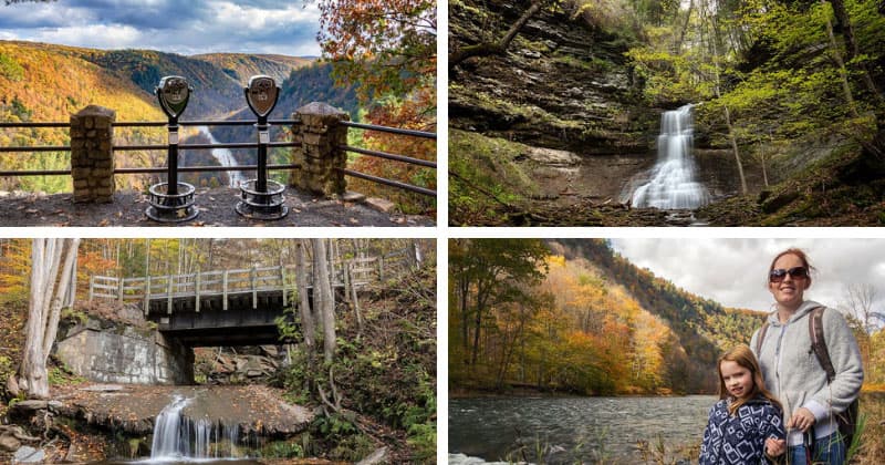 Where to find the best fall foliage views in the PA Grand Canyon