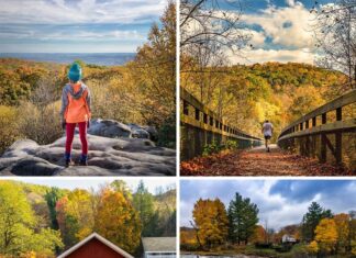 Where to find the best fall foliage views in the PA Laurel Highlands.