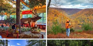 The Best Things to See and Do in Elk County PA.