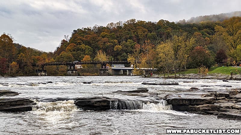 A view of the Youghiogheny River and the Ohiopyle Low Bridge from the Ferncliff Trail.
