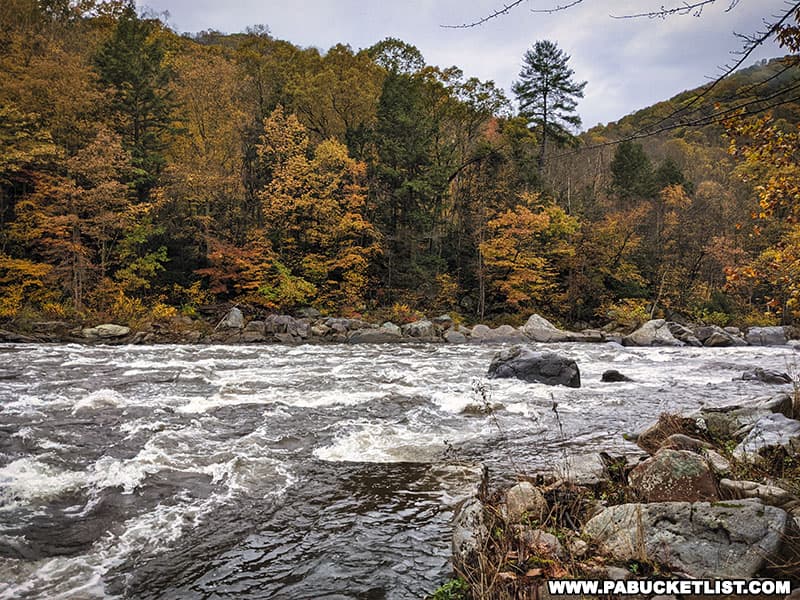 Fall foliage along the Youghiogheny River and the Ferncliff Trail at Ohiopyle State Park.