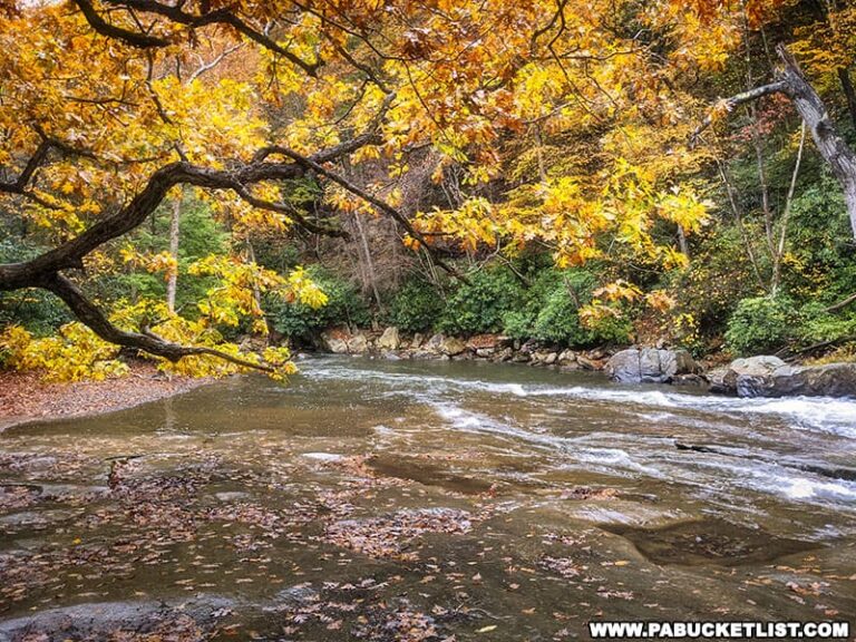 Hiking the Meadow Run Trail at Ohiopyle State Park
