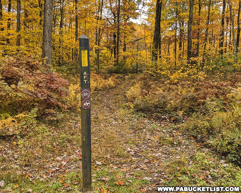 Allegheny Front Trail marker along Underwood Road in the Moshannon State Forest in Centre County Pennsylvania.