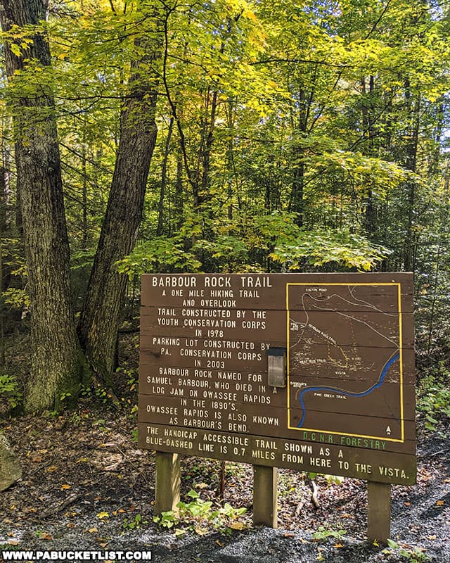Fall foliage at the Barbour Rock trailhead in Tioga County Pennsylvania.