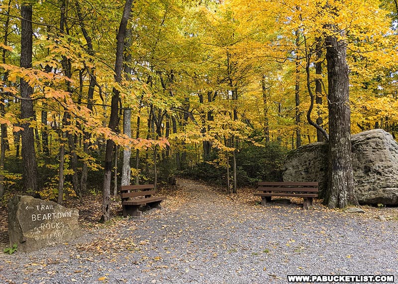 Fall foliage views near the Beartown Rocks trail head in Jefferson County Pennsylvania.
