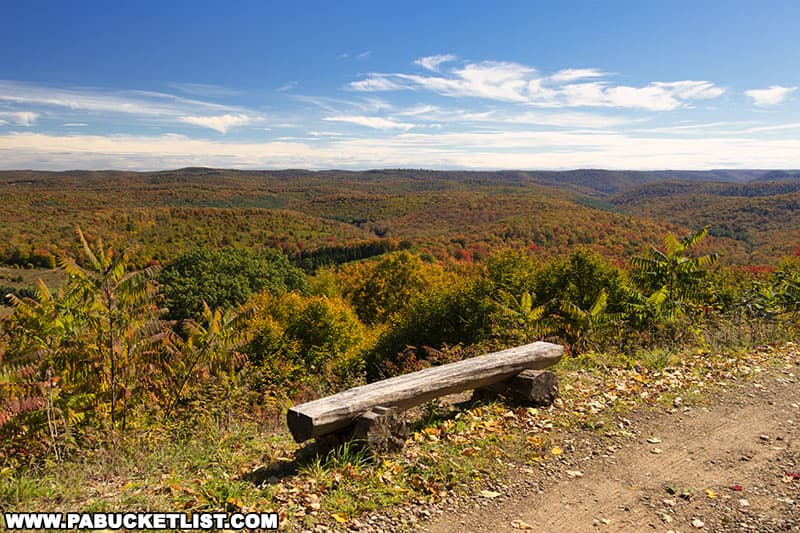 Fall foliage views from Boone Run Vista in Potter County Pennsylvania.