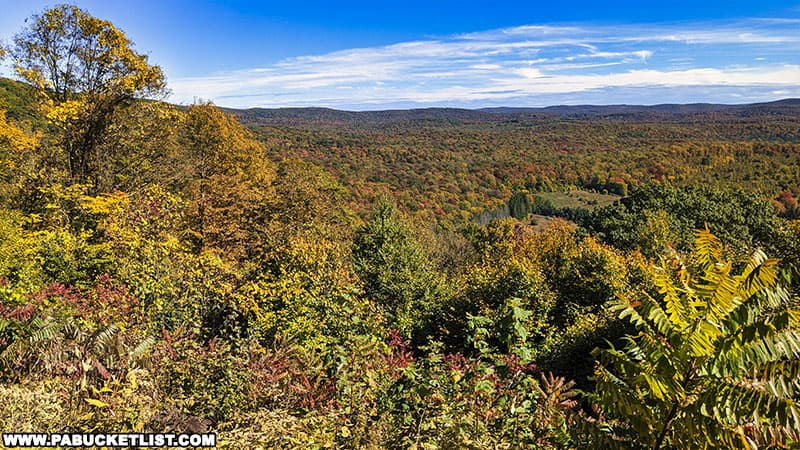 Fall foliage at Boone Run Vista in Potter County Pennsylvania.