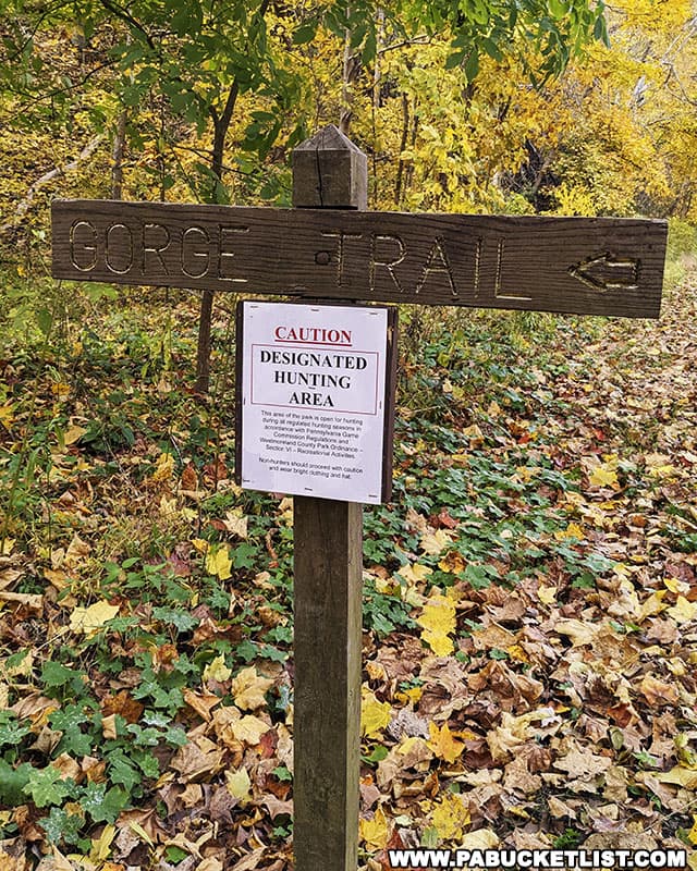 The Cedar Creek Gorge Trail passes through a designated hunting area, so wear bright clothing (ideally an article of blaze orange clothing) if hiking here in the fall.
