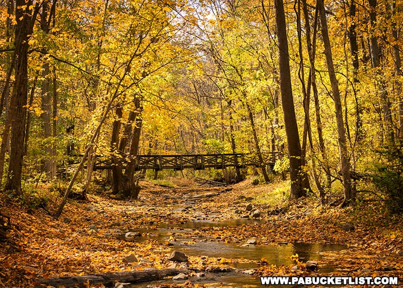 Downstream view of the lower "swinging bridge" along the Cedar Creek Gorge Trail, surrounded by brilliant fall foliage.