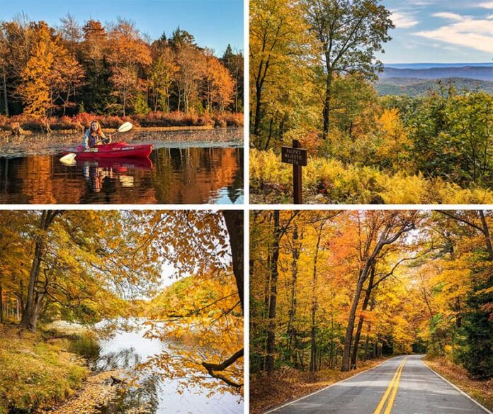 Where to find the best fall foliage views in Centre County Pennsylvania.