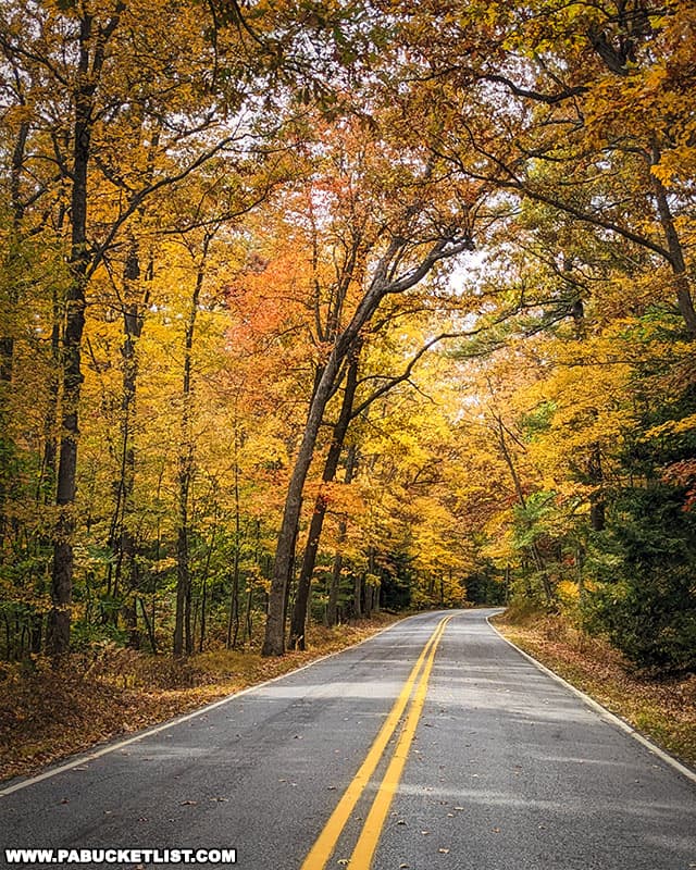 Fall foliage along a back road in Centre County Pennsylvania.